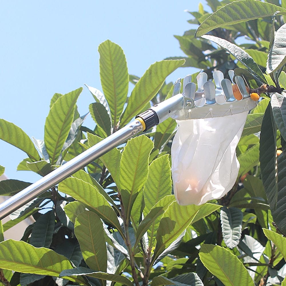Specialized Fruit Picker for High Places