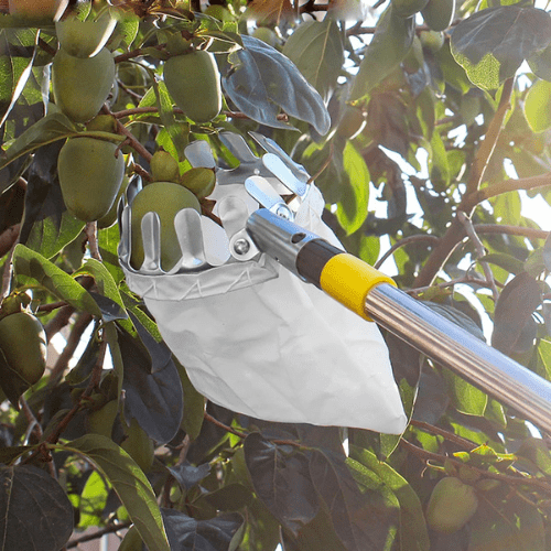 Specialized Fruit Picker for High Places